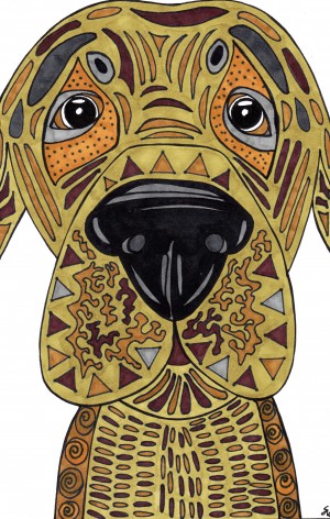 Nose Dog